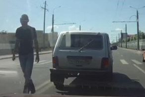 Быдло на Ниве