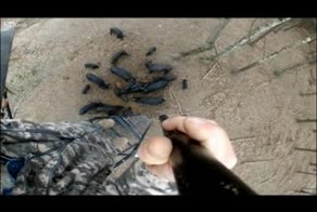 Охота с гарпуном