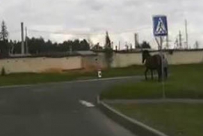 Это был знак