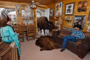 Необычное домашнее животное (15 фото)