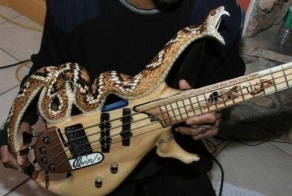 Прикольные гитары (13 фото)