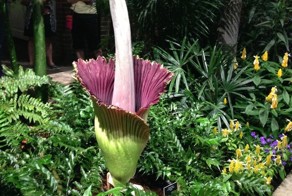 Красивые фото