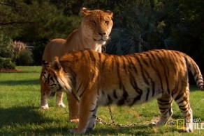 Зачетное фото