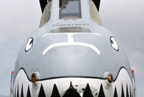 Бесплатно фото