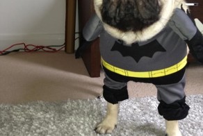 Отпадные фотки