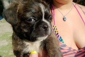 Фотоальбом