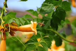 Улетное фото