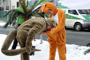 Бесплатно фото