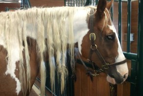 Смешные рисунки