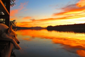 Смешная фотогалерея