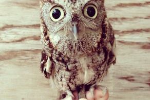 Фотоальбом