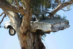 Смешные картинки