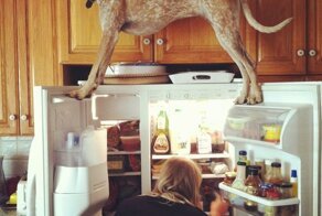 Крутые фотки