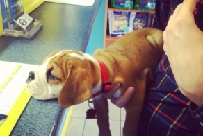 Смешные картинки