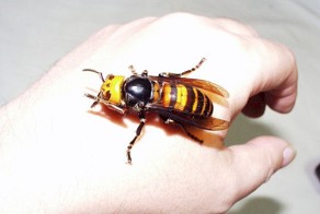 Смешная фотогалерея