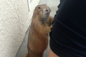 Бесплатно фото