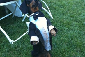 Фотоприкол дня