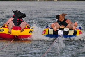 Красивые фото