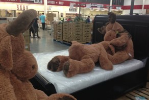 Фотоприкол недели