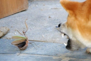 Зачетное фото