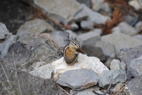 Фотоподборка