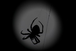 Бесплатный фотоприкол