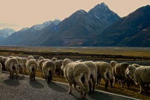 Прекрасные фото