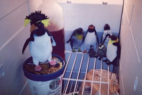 Бугагашеньки