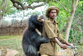 Смешные картинки