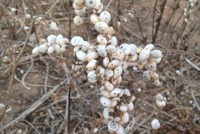 Зачетное фото