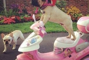 Прикольные фото