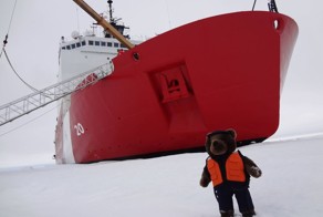 Зачетное фото