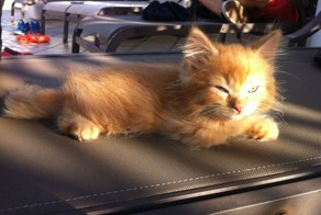 Смешные картинки