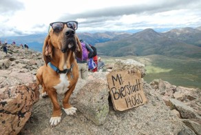 Фотоприкол фото