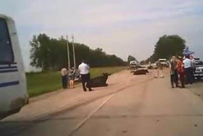 Подборка роликов