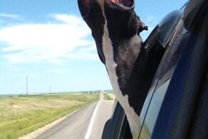 Фото прикол