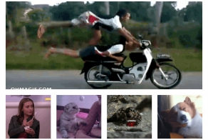 Анимахи. Часть 51 (20 гифок)