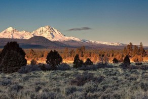 Смешная фотогалерея