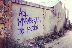 Прикол картинка