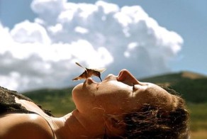 Красивые фото