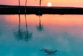 Смешные рисунки