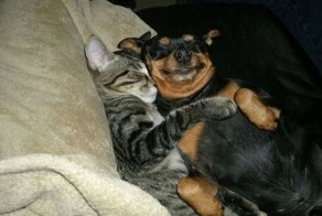 Юмор прикол