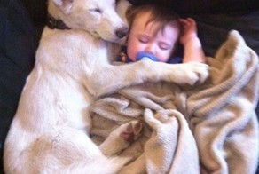 Фотоальбом