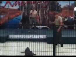 Подборка роликов от 14.08.2012