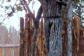 Фотоприкол онлайн бесплатно