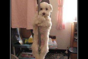 Смешной демотиватор от zubrilov за 16.07.2012 №120758