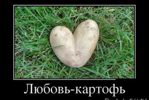 Смешной демотиватор от zubrilov за 16.07.2012 №120771