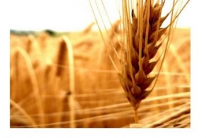 Игра слов в картинках