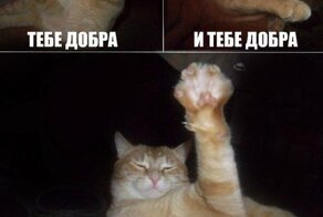 Бесплатный фотоприкол