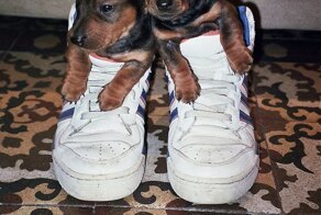 Смешные картинки